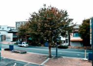 周南市橋本町。この街として2番目の事務所から撮影。